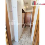 Rent 1 bedroom apartment of 36 m² in Capital City of Prague