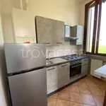 Rent 2 bedroom apartment of 54 m² in Casalmaggiore