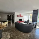 Rent 3 bedroom apartment of 111 m² in Alicante