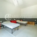 Rent 12 bedroom apartment of 296 m² in Firenze