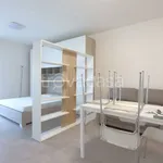 Rent 1 bedroom apartment of 36 m² in Vicenza