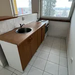 Rent 1 bedroom apartment of 22 m² in Ostrava