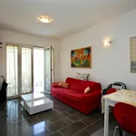 Rent 3 bedroom apartment of 60 m² in Pisa