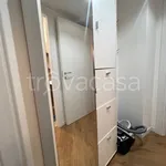 Rent 2 bedroom apartment of 55 m² in Milano