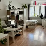 Rent 1 bedroom apartment of 39 m² in Zlín