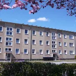 Rent 3 bedroom apartment of 61 m² in Franzburg