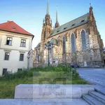 Rent 2 bedroom apartment of 72 m² in Brno