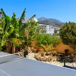 AGRADABLE VILLA EN NERJA