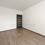 Rent 3 bedroom apartment of 75 m² in Děčín