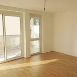 Rent 3 bedroom apartment of 77 m² in Graz