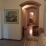 Rent 5 bedroom apartment of 90 m² in Pisa