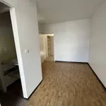 Maison de 34 m² avec 1 chambre(s) en location à Rodez