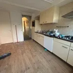 Huur 1 slaapkamer appartement van 125 m² in Groningen