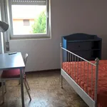 Rent 4 bedroom apartment in Coimbra