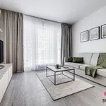 Rent 1 bedroom apartment of 34 m² in Prague