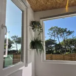 Rent 1 bedroom apartment of 21 m² in São João das Lampas