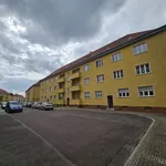 Rent 1 bedroom apartment of 61 m² in Magdeburg