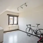 Huur 4 slaapkamer huis van 1019 m² in Hoogstraten