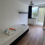 Huur 6 slaapkamer huis van 170 m² in Alpen Rondwegbuurt