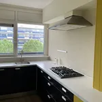 Rent 2 bedroom apartment of 82 m² in arnhem