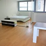 Rent 1 bedroom apartment of 48 m² in Brno