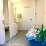 Rent 1 bedroom apartment of 13 m² in Sint-Michiels