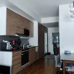 Rent 1 bedroom apartment of 36 m² in kapellimestarinkatu