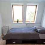 Miete 1 Schlafzimmer wohnung von 50 m² in berlin