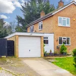 Rent 4 bedroom house in East Of England