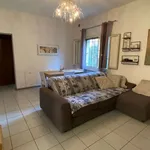 Rent 3 bedroom apartment of 100 m² in Modena