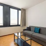 Rent 1 bedroom apartment in Milan