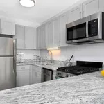 Rent 3 bedroom student apartment of 119 m² in Chicago