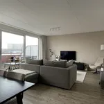 Rent 3 bedroom apartment of 97 m² in 3812EG Amersfoort