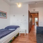 Rent 3 bedroom apartment of 72 m² in Praha