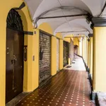 Rent 1 bedroom apartment in Bologna