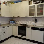 Rent 3 bedroom apartment of 120 m² in Segrate