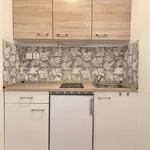 Rent 1 bedroom apartment in Brno