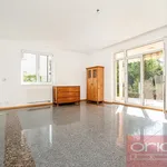 Rent 6 bedroom apartment of 250 m² in Prague