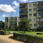 Rent 3 bedroom apartment of 57 m² in goleniów