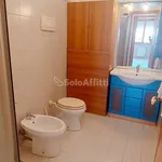 Rent 3 bedroom apartment of 88 m² in Roma