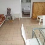 Rent 3 bedroom apartment of 62 m² in Brno