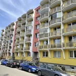 Rent 1 bedroom apartment of 34 m² in Brno