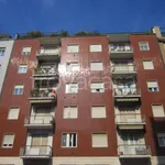 Rent 2 bedroom apartment of 40 m² in Milano