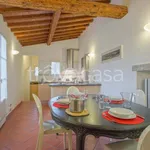 Rent 2 bedroom apartment of 50 m² in Firenze