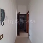 Rent 3 bedroom apartment of 60 m² in Genzano di Roma