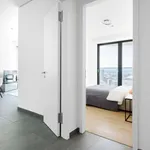 Rent 2 bedroom apartment of 90 m² in frankfurt