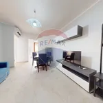 Rent 5 bedroom apartment of 60 m² in Viareggio