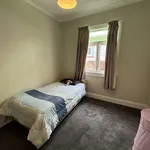 Rent 4 bedroom house in Palmerston North