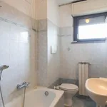 Rent 1 bedroom apartment in Milan