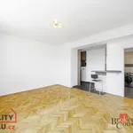 Rent 1 bedroom apartment of 31 m² in Prague